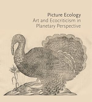 Seller image for Picture Ecology : Art and Ecocriticism in Planetary Perspective for sale by GreatBookPrices