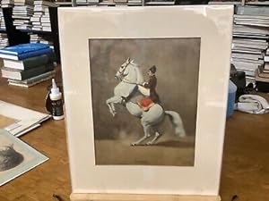 1959 J. Plank Courbette Watercolor Man On Horseback 10.75 x 8.5
