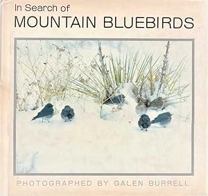 Bild des Verkufers fr In Search of Mountain Bluebirds zum Verkauf von Goulds Book Arcade, Sydney