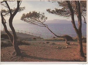 Bild des Verkufers fr Postal E05222: Mara Mediterraneo zum Verkauf von EL BOLETIN
