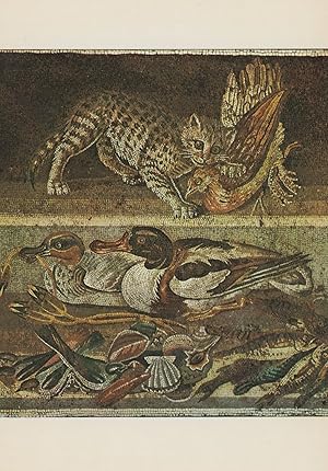 Cat Biting Partridge Bird Greek Mosaic Art Postcard