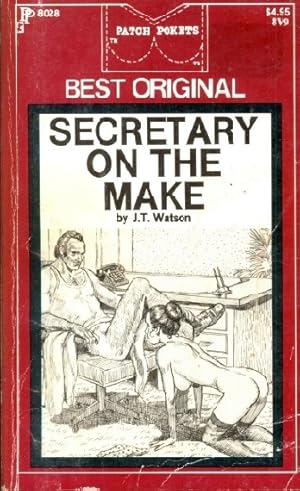 Seller image for Secretary On The Make PP8028 for sale by Vintage Adult Books