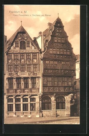 Bild des Verkufers fr Ansichtskarte Alt-Frankfurt, Haus Frauenstein und Salzhaus am Rmer zum Verkauf von Bartko-Reher