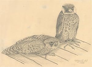 G.A. Hadfield - 1985 Graphite Drawing, Two Birds of Prey
