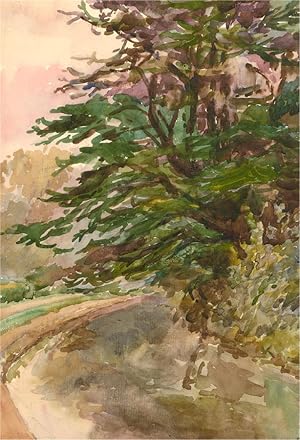 Seller image for Early 20th Century Watercolour - Pine Trees for sale by Sulis Fine Art