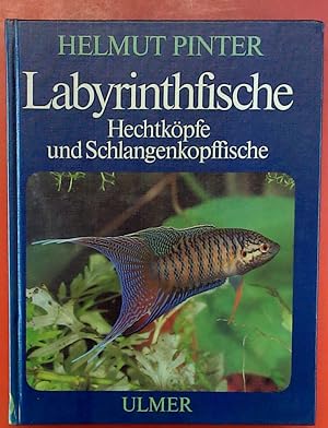 Bild des Verkufers fr Labyrinthfische. Hechtkpfe und Schlangenkopffische zum Verkauf von biblion2