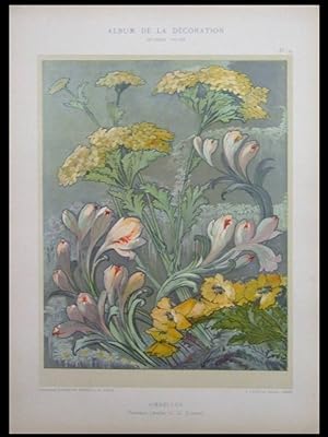 FRENCH ART NOUVEAU FLOWERS, UMBELS - 1900 LITHOGRAPH - FLEURS, OMBELLES, FORRER