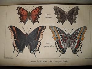 Histoire Naturelle Des Lépidoptères Ou Papillons De France. Diurnes. Tome Second. Natural History...