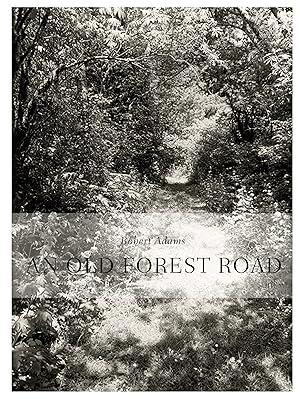 An old forest road. Robert Adams ; Galerie Thomas Zander