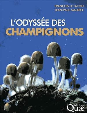 l'odyssée des champignons