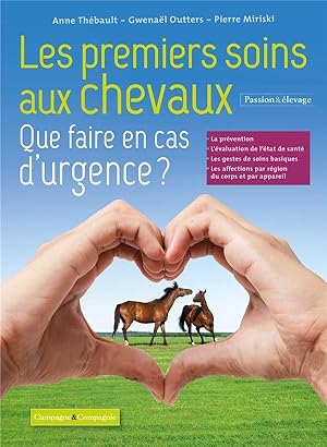 les premiers soins aux chevaux : que faire en cas d'urgence ?