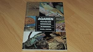 Image du vendeur pour Agamen Haltung und Vermehrung im Terrarium. mis en vente par Versandantiquariat Ingo Lutter