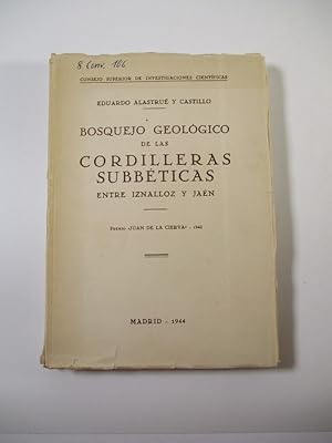 Seller image for Bosquejo Geologico De Las Cordilleras Subbticas Entre Iznalloz Y Jan. for sale by Antiquariat Bookfarm