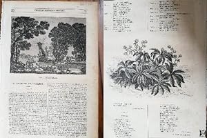SEMANARIO PINTORESCO ESPAÑOL: Nº23, 5 de junio 1853: La primavera de Lanuza, Arca de San Isidro L...