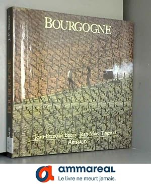 Seller image for Bourgogne for sale by Ammareal