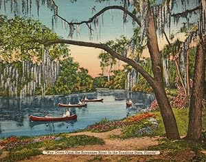Suwanee River, Florida: Giant Postcard