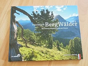 Seller image for Faszination Bergwlder. Die schnsten Waldlandschaften der Schweiz. for sale by Antiquariat Hamecher