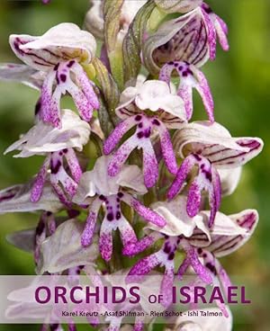 Imagen del vendedor de The Orchids of Israel a la venta por PEMBERLEY NATURAL HISTORY BOOKS BA, ABA