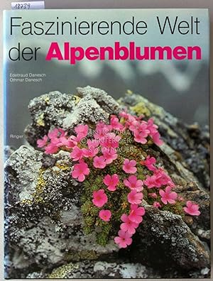 Faszinierende Welt der Alpenblumen.