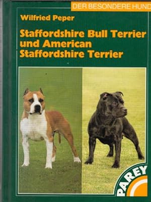 Staffordshire Bull Terrier und American Staffordshire Terrier
