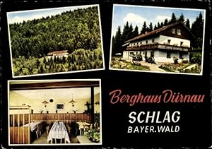 Bild des Verkufers fr Ansichtskarte / Postkarte Schlag Grafenau im Bayerischen Wald, Berghaus Drnau, Wald zum Verkauf von akpool GmbH