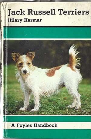 Jack Russell Terriers