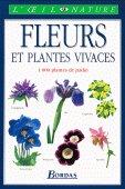 Fleurs et plantes vivaces