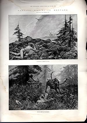 Bild des Verkufers fr ENGRAVING: "Hunting Wapiti (Elk) in Montana".engraving from The Illustrated London News, February 27, 1897 zum Verkauf von Dorley House Books, Inc.