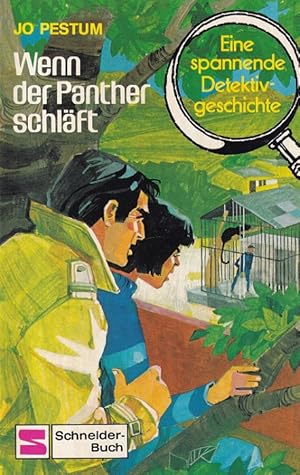 Wenn der Panther schläft : Eine spannende Detektivgeschichte. Kommissar Luc Lucas Band 6