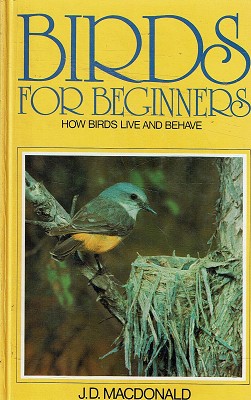 Birds For Beginners: How Birds Live And Behave