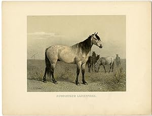 Imagen del vendedor de Rare Antique Print-RUSSIAN COUNTRY HORSE-Volkers-1880 a la venta por Pictura Prints, Art & Books