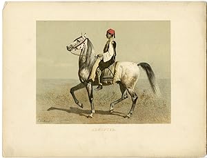 Imagen del vendedor de Rare Antique Print-EGYPTIAN HORSE BREED-Volkers-1880 a la venta por Pictura Prints, Art & Books