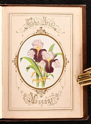 The Language of Flowers: An Alphabet of Floral Emblems: Not Stated