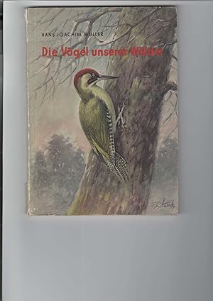 Die Vögel unserer Wälder. Kurze Anleitung zum Erkennen einheimischer Waldvögel. Umschlagbild von ...