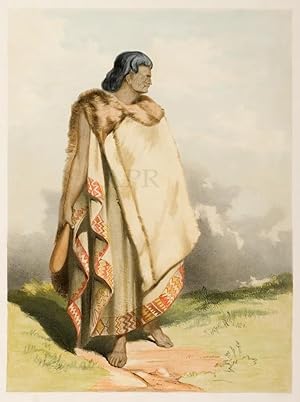 Te Nangihaeta. New Zealand Chief.