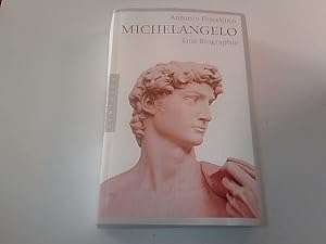 Michelangelo - Eine Biographie