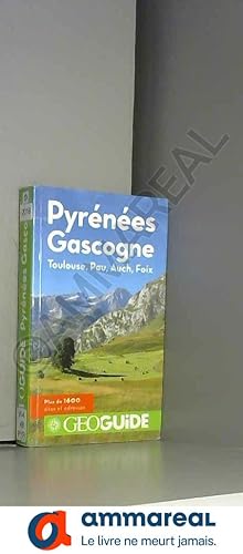 Imagen del vendedor de Guide Pyrenees Gascogne a la venta por Ammareal