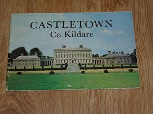 Bild des Verkufers fr Castletown Co. Kildare Formerly the Home of the Conolly Family Now the Headquarters of the Irish Georgian Society zum Verkauf von Dublin Bookbrowsers