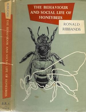 The Behaviour and Social Life of Honeybees