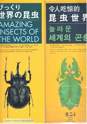 Seller image for Amazing Insects of the World for sale by PEMBERLEY NATURAL HISTORY BOOKS BA, ABA