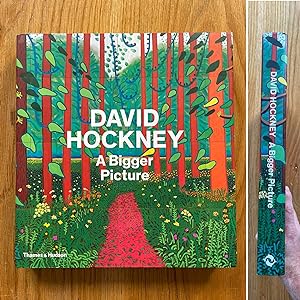 Image du vendeur pour David Hockney: A Bigger Picture mis en vente par Setanta Books