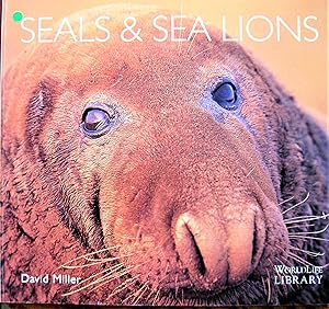 Seller image for Seals and Sea Lions for sale by Ken Jackson