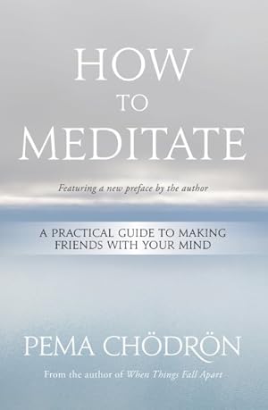 Bild des Verkufers fr How to Meditate : A Practical Guide to Making Friends With Your Mind zum Verkauf von GreatBookPrices