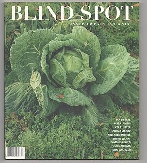 Seller image for Blind Spot 24 Twenty Four 24 for sale by Jeff Hirsch Books, ABAA