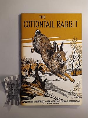 The Cottontail Rabbit.