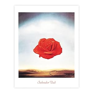 Salvador Dalì - Rose meditative