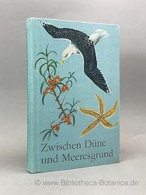 Seller image for Zwischen Dne und Meeresgrund. Tiere und Pflanzen des Ostseeraumes. for sale by Bibliotheca Botanica