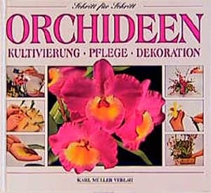 Bild des Verkufers fr Orchideen. Kultivierung, Pflege, Dekoration zum Verkauf von Gerald Wollermann