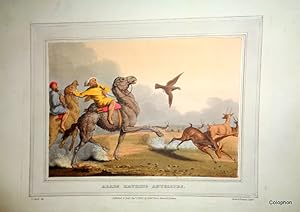 Bild des Verkufers fr Arabs Hawking Antelopes. 1813 zum Verkauf von Colophon Books (UK)