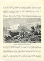 BERGAMASQUE SHEPHERD,NEAR THE MORTERATSCH GLACIER,,1878 antique print